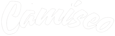letras camiseo blancas